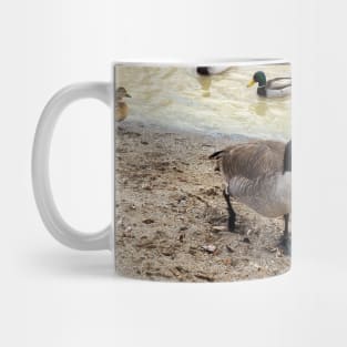 Canada Geese Walking Along a Beach Mug